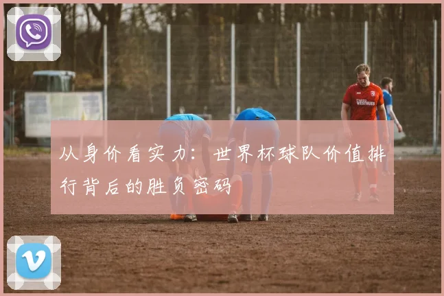 从身价看实力：世界杯球队价值排行背后的胜负密码