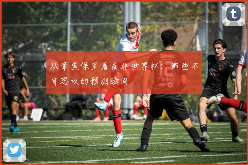 从章鱼保罗看南非世界杯：那些不可思议的预测瞬间